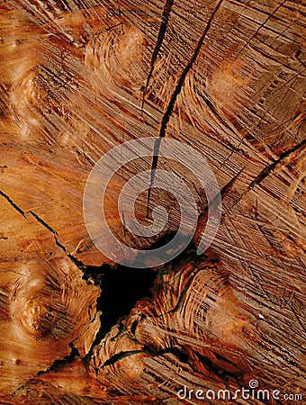 Wooden backgrounds Stock Photo