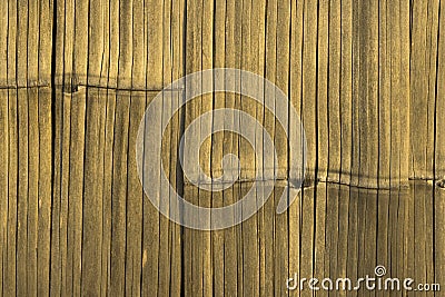 Wooden Bamboo Walls. Stock Photo