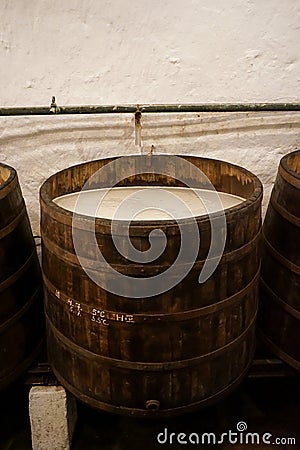 A wooden barrel full of fermenting beer. Stock Photo