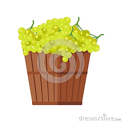 Wooden Basket with Grapes. White Wine. Vector Illustration