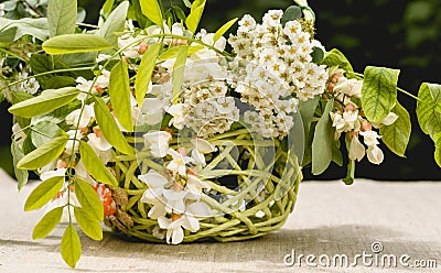 Wooden basket and a spring bouquet of white wildflowers. A house and a garden Stock Photo