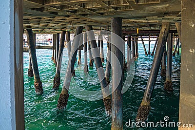 Wooden beams support under the pier of Santa Monica pier Editorial Stock Photo