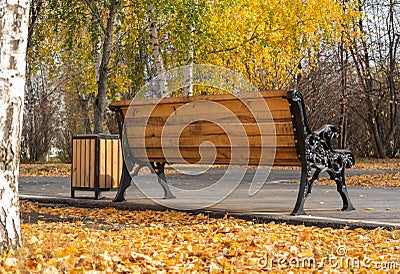 Wooden bench in the autumn Park. Rear view Stock Photo