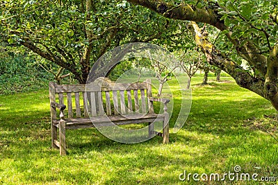 Wooden Bench, Snowshill Manor, Gloucestershire, England. Stock Photo