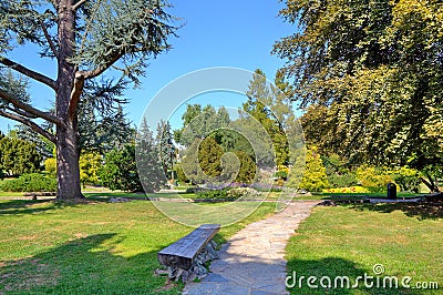 Wooden bench in Valentino Park. Turin, Italy. Stock Photo