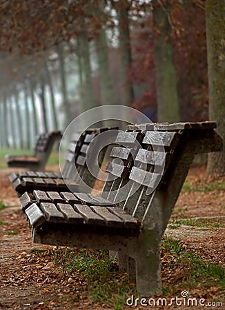 Wooden benches in autumn Stock Photo