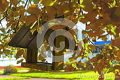 Wooden bird feeder among the yellow fall foliage. Stock Photo