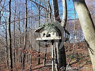 Wooden bird feeders in the autumn park. Stock Photo