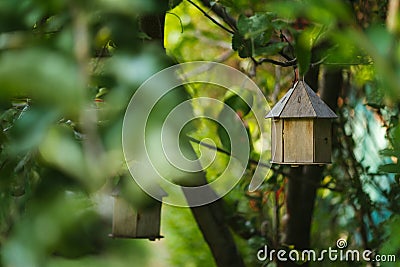 Birdhouse on tree Stock Photo