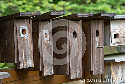 Wooden bird houses in a row Stock Photo