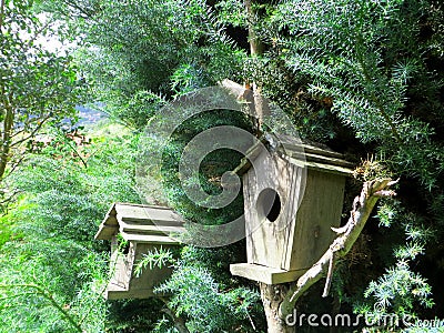 Wooden bird houses Stock Photo