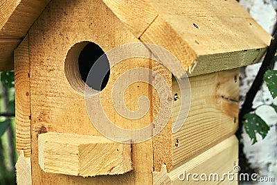 Wooden birdhouse on a birch tree in the forest in summer close up Stock Photo