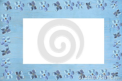 Wooden blue background with flowers along the contour and a transparent main part. Available in PNG . Stock Photo