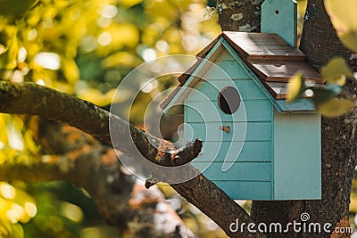 Wooden blue birdhouse on a apple tree in the farm park zone. Stock Photo