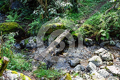 wooden board over mountain stream in ravine Stock Photo