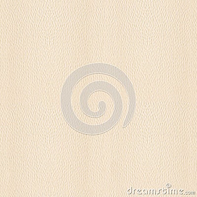 Wooden board for seamless background - very White Oak wood Stock Photo