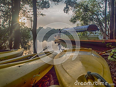 Wooden boat in the Amazon jungle Editorial Stock Photo