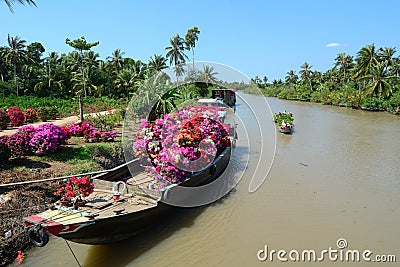Wooden boats carry flowers on river in Mekong Delta, Vietnam Editorial Stock Photo
