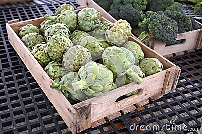 Wooden Box of Fresh Artichokes Stock Photo