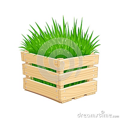 Wooden box with green grass Vector Illustration