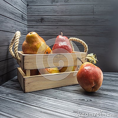 A wooden box with rope handles is filled with ripe red and yellow pears Stock Photo