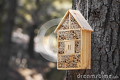 Wooden box that serves as a house and hohar for insects in the field in a Mediterranean forest in Malaga. Spain Stock Photo