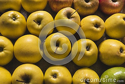 Wooden box with variety of apples. Stock Photo
