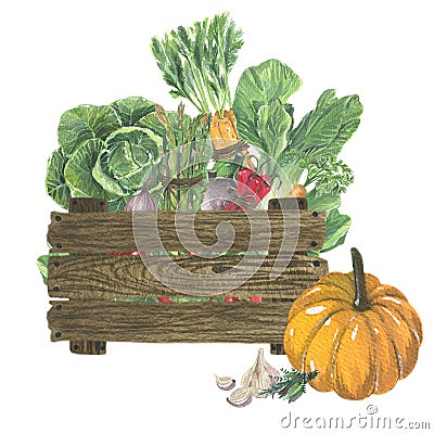 Wooden box with vegetables. Wood. Hand painted watercolor. Handmade design elements isolated Stock Photo