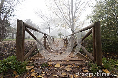 Wooden bridge in autumn Stock Photo