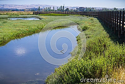 Wooden bridge in Don Edwards wildlife refuge Stock Photo