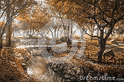 Wooden bridge in flower garden on morning sun light sepia color Stock Photo