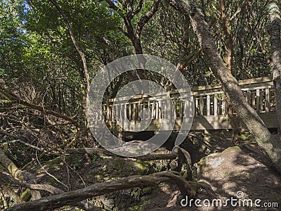 Wooden bridge on footpath Sendero de los Sentidos path od the se Stock Photo