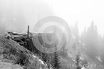 Wooden Bridge in the forest with heavy fog Stock Photo