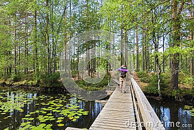 Wooden bridge in finland wih hiker Editorial Stock Photo