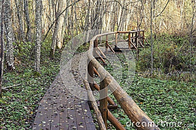 Wooden bridge in the forest and park Stock Photo