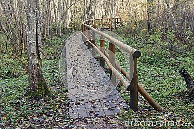 Wooden bridge in the forest and park Stock Photo