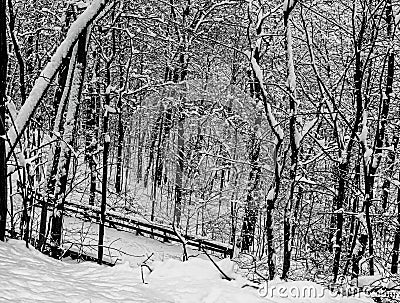 A wooden bridge on a hiking trail on a snowy winter day Stock Photo