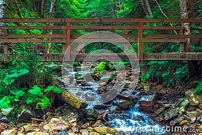 Wooden bridge over the river rain in the autumn morning - Carpathian Mountains,Ukraine - selected focus Stock Photo