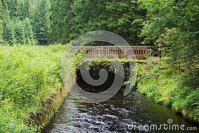 Wooden bridge over the stream in the forest in Sumava mountain in Czechia Stock Photo