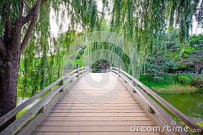 Wooden bridge path with trees Stock Photo