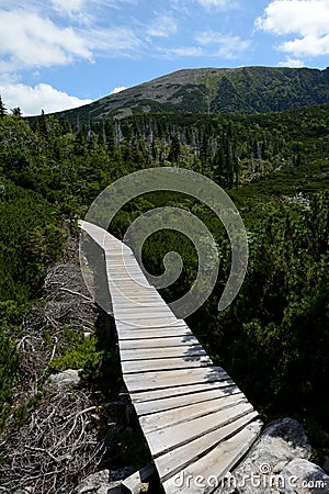 Wooden bridge on trail in Karkonosze mountains Stock Photo