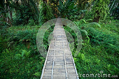 Wooden bridge walkway Bamboo bridge spanning to the garden Stock Photo