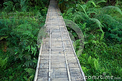 Wooden bridge walkway Bamboo bridge spanning to the garden Stock Photo