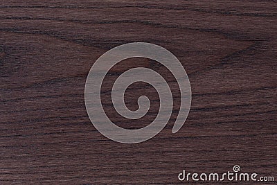 Wooden brown oak texture close-up, background surface. Stock Photo