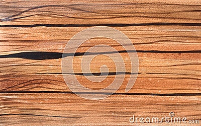 Wooden brown watercolor background for garden. Cartoon Illustration