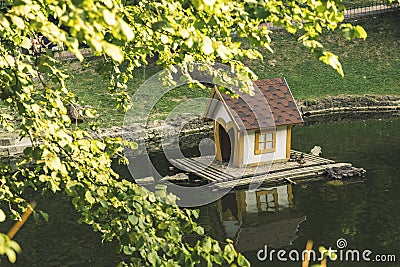 Wooden cabin on water surface in park for birds animal care landscaping object spring nature environment with vivid green yellow Stock Photo