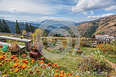 Wooden Cabin in the woods with flowers around in autumn Stock Photo