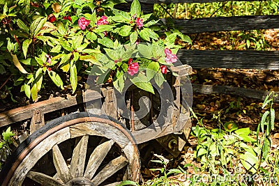 Wooden cart with flowers Stock Photo