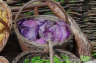 Wooden cart with wicker carp with vegetables in the garden Stock Photo