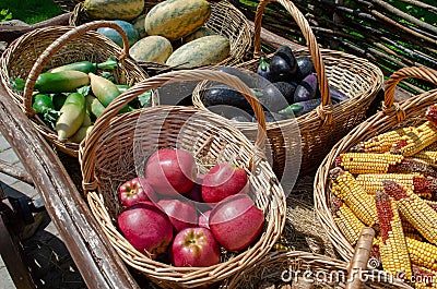 Wooden cart with wicker carp with vegetables in the garden Stock Photo